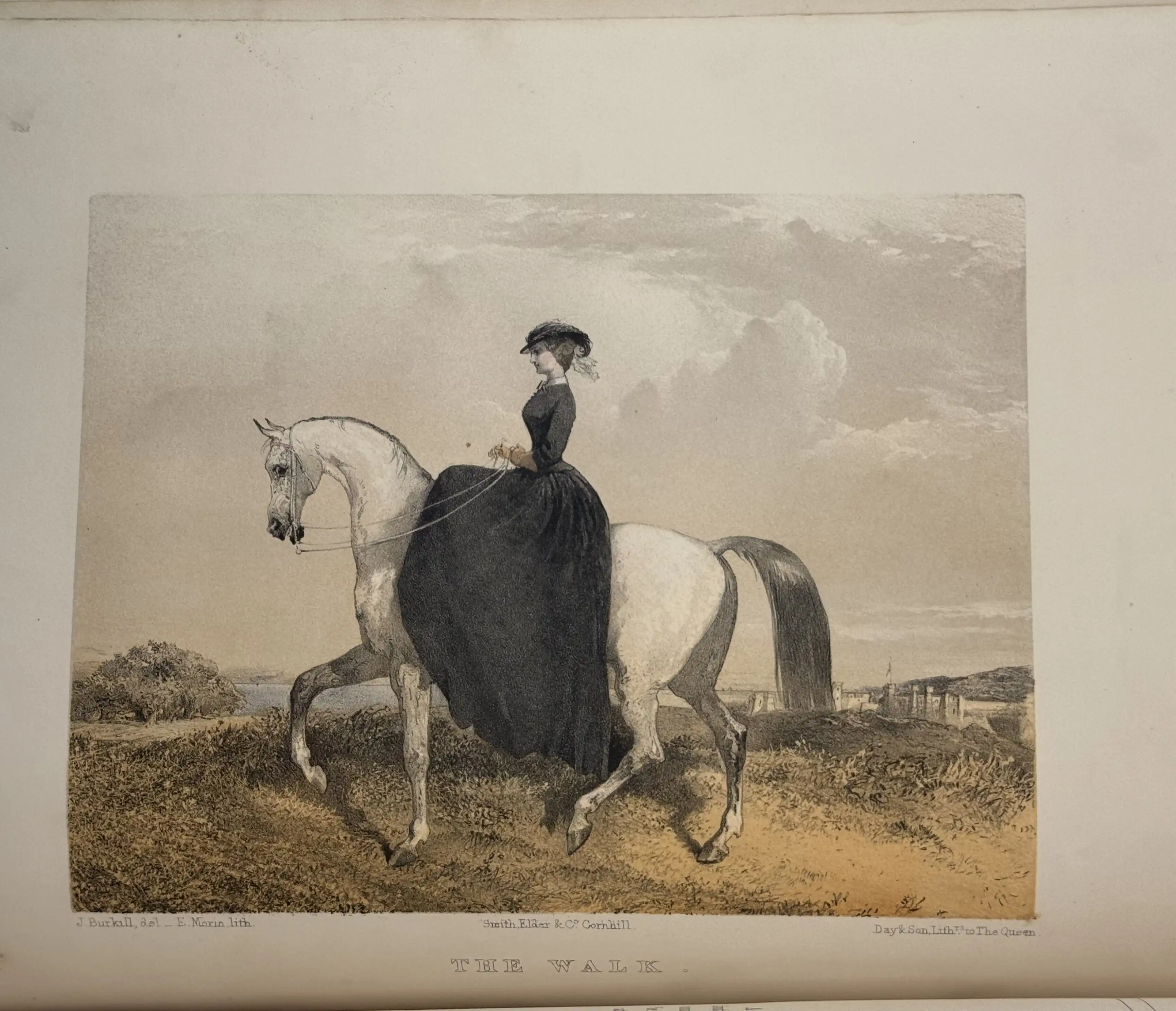 Clarke, The Ladies' Equestrian Guide